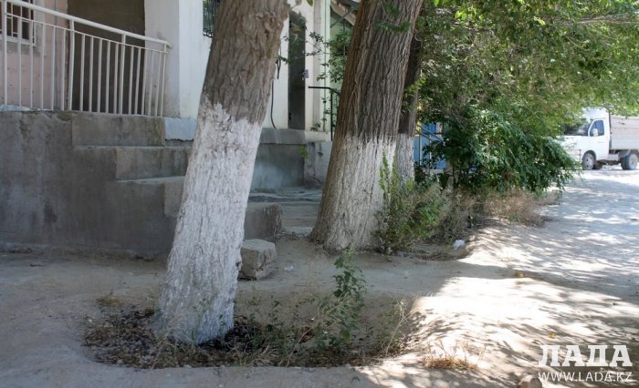 ТОО «РЭП» не произвело полив по указанному в графике адресу в 5 микрорайоне Актау