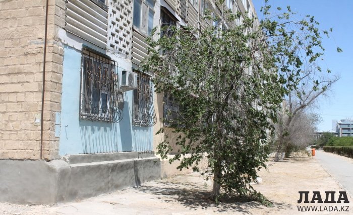 ТОО «РЭП» не произвело полив по указанному в графике адресу в 5 микрорайоне Актау