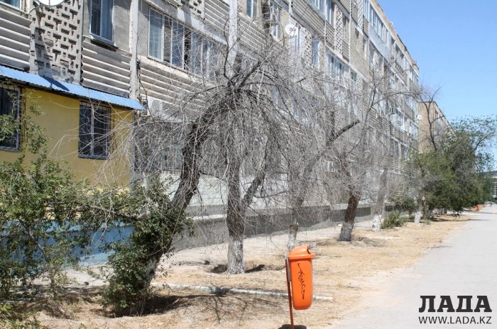 ТОО «РЭП» не произвело полив по указанному в графике адресу в 5 микрорайоне Актау