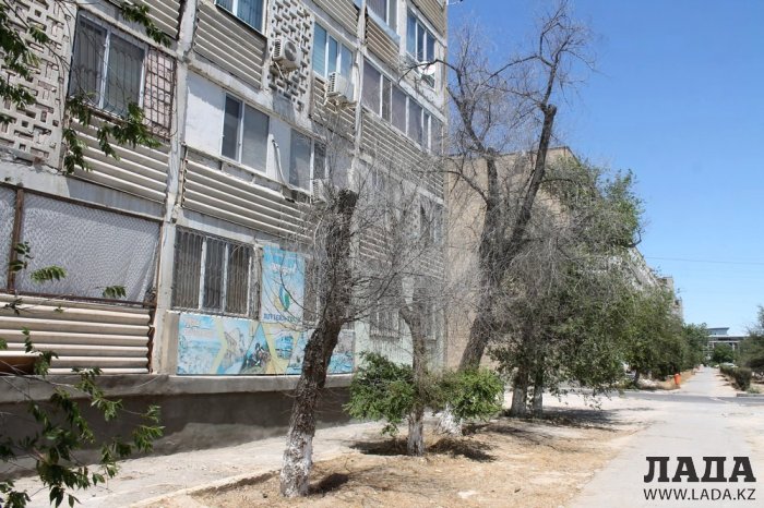 ТОО «РЭП» не произвело полив по указанному в графике адресу в 5 микрорайоне Актау