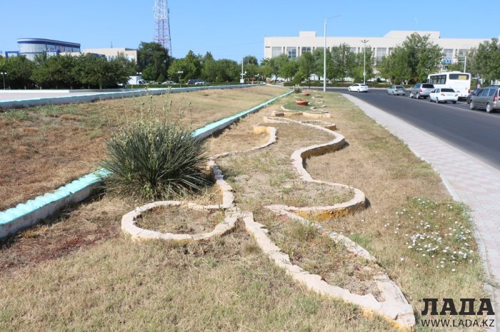 Фоторепортаж: Состояние зеленых насаждений на площади «Ынтымак» в Актау