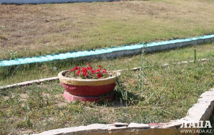 Фоторепортаж: Состояние зеленых насаждений на площади «Ынтымак» в Актау