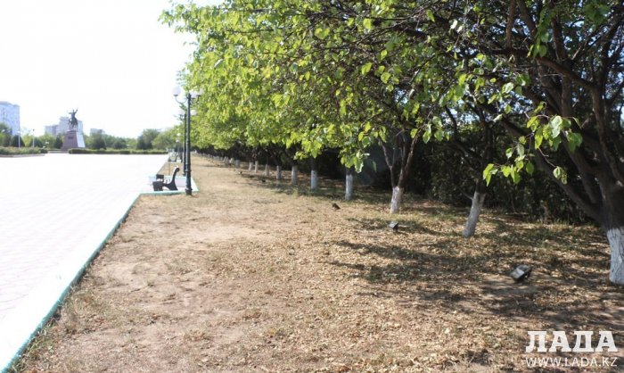 Фоторепортаж: Состояние зеленых насаждений на площади «Ынтымак» в Актау