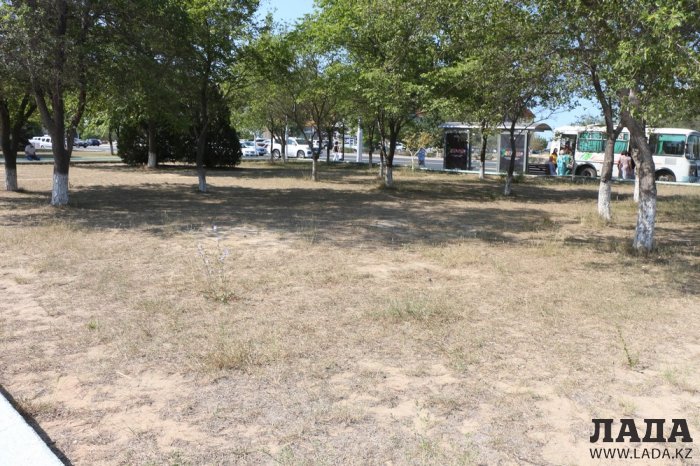 Фоторепортаж: Состояние зеленых насаждений на площади «Ынтымак» в Актау