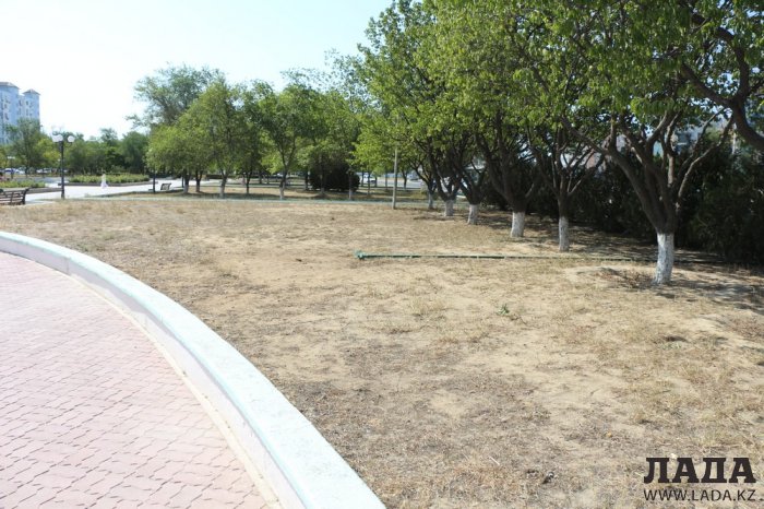Фоторепортаж: Состояние зеленых насаждений на площади «Ынтымак» в Актау