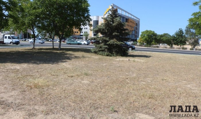 Фоторепортаж: Состояние зеленых насаждений на площади «Ынтымак» в Актау