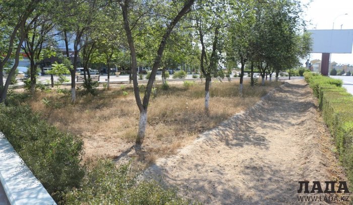 Фоторепортаж: Состояние зеленых насаждений на площади «Ынтымак» в Актау