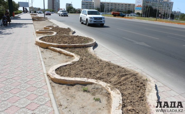Фоторепортаж: Состояние зеленых насаждений на площади «Ынтымак» в Актау