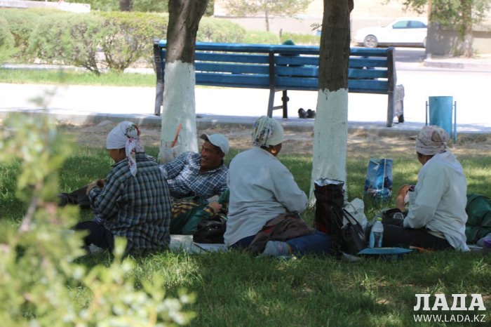 Фоторепортаж: Состояние зеленых насаждений в сквере имени Захарова в Актау