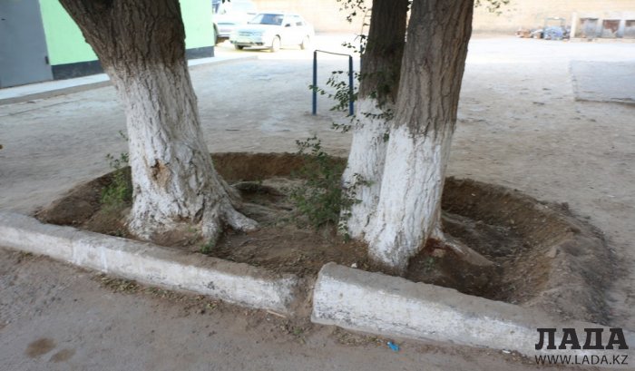 Полив по факту: Исполнение графика в Актау 17 июня