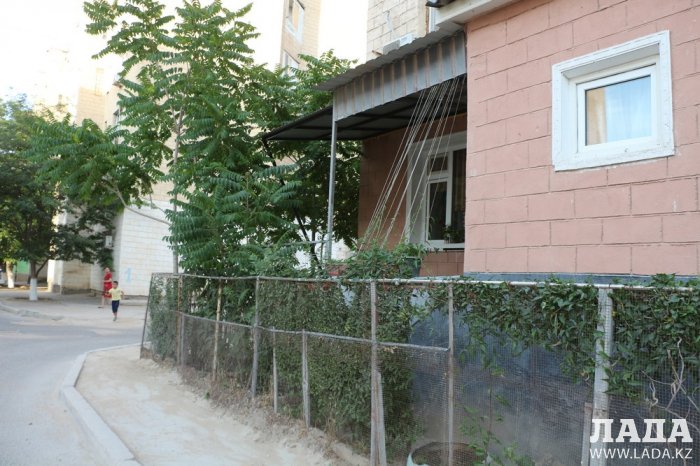 Полив по факту: Исполнение графика в Актау 17 июня