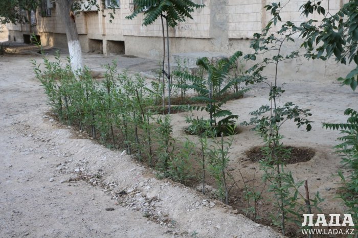 Полив по факту: Исполнение графика в Актау 17 июня