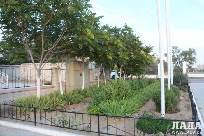 Полив по факту: Исполнение графика в Актау 17 июня