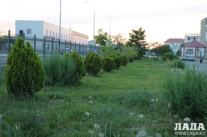 Полив по факту: Исполнение графика в Актау 17 июня