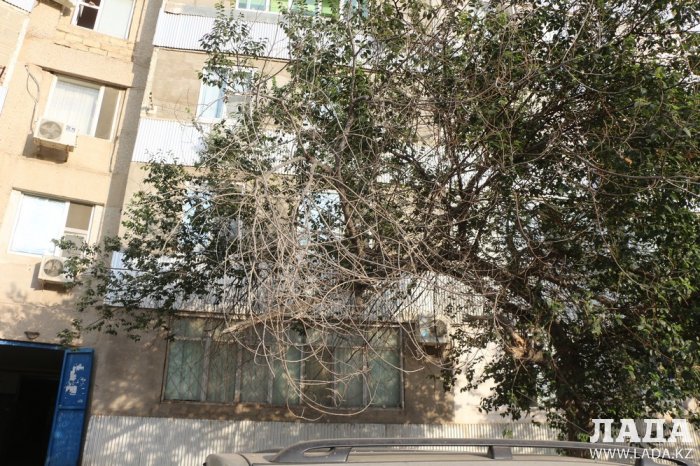 Полив по факту: Исполнение графика в Актау 17 июня