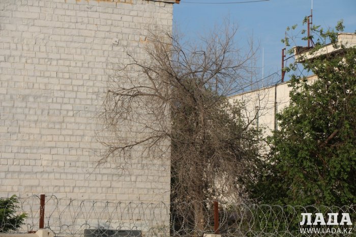 Полив по факту: Исполнение графика в Актау 17 июня