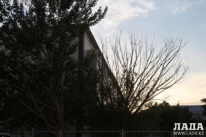 Полив по факту: Исполнение графика в Актау 17 июня