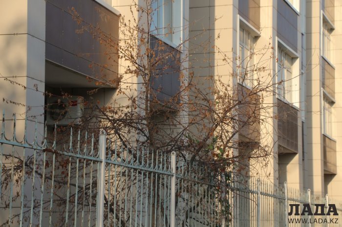 Полив по факту: Исполнение графика в Актау 17 июня