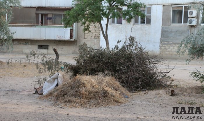 Полив по факту: Исполнение графика в Актау 17 июня