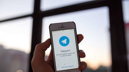 Казахстанский программист запустил Telegram-бота, который выдаёт пароли по адресу почты