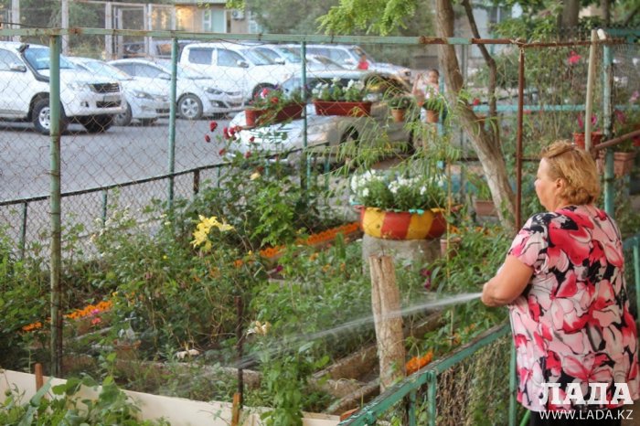 Полив по факту: Исполнение графика в Актау 18 июня