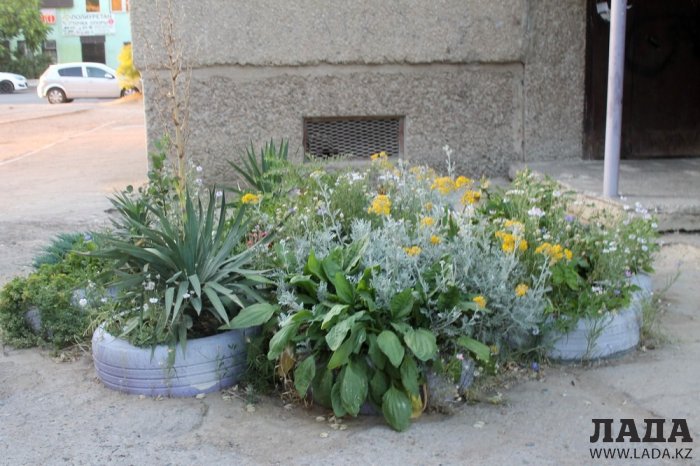 Полив по факту: Исполнение графика в Актау 18 июня