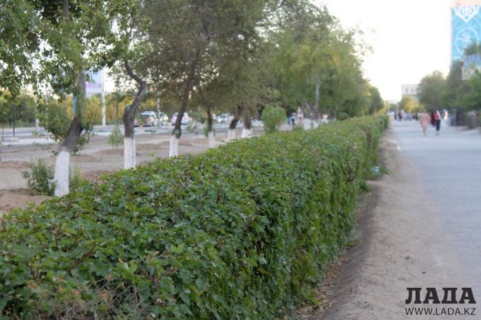 Полив по факту: Исполнение графика в Актау 18 июня