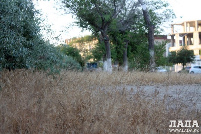 Полив по факту: Исполнение графика в Актау 18 июня