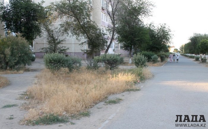 Полив по факту: Исполнение графика в Актау 18 июня