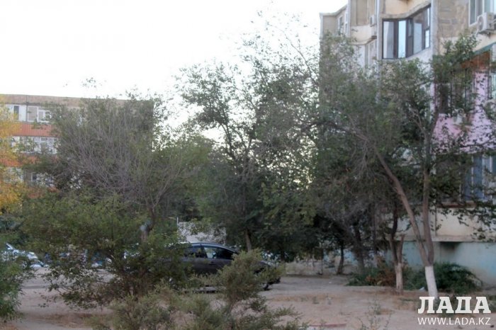 Полив по факту: Исполнение графика в Актау 18 июня