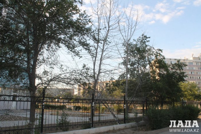 Полив по факту: Исполнение графика в Актау 18 июня