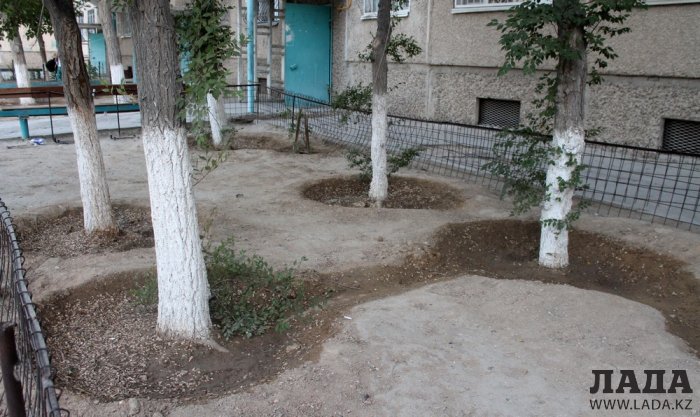 Полив по факту: Исполнение графика в Актау 18 июня