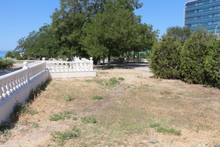 Фоторепортаж: Состояние зеленых насаждений на аллее Победы в Актау