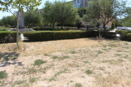 Фоторепортаж: Состояние зеленых насаждений на аллее Победы в Актау