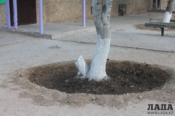 Полив по факту: Исполнение графика в Актау 19 июня