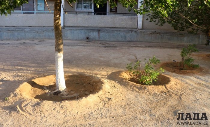 Полив по факту: Исполнение графика в Актау 19 июня