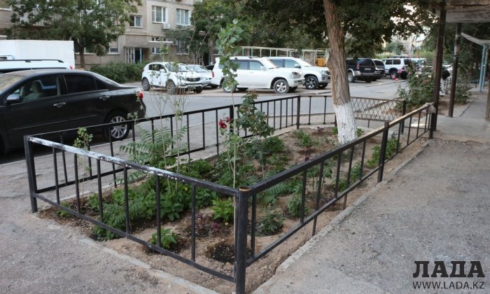 Полив по факту: Исполнение графика в Актау 19 июня