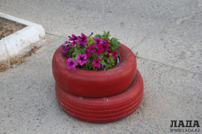 Полив по факту: Исполнение графика в Актау 19 июня