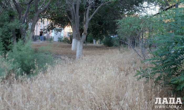 Полив по факту: Исполнение графика в Актау 19 июня