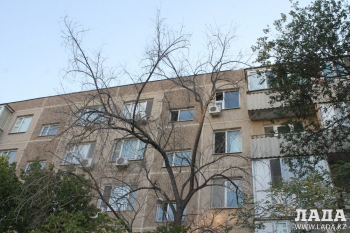 Полив по факту: Исполнение графика в Актау 19 июня