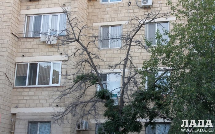 Полив по факту: Исполнение графика в Актау 19 июня