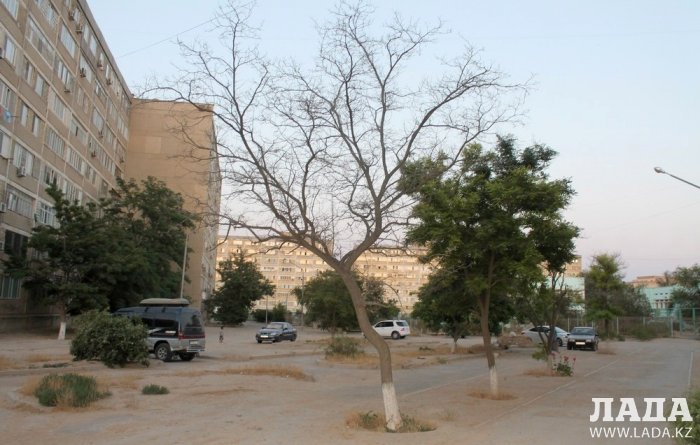 Полив по факту: Исполнение графика в Актау 19 июня