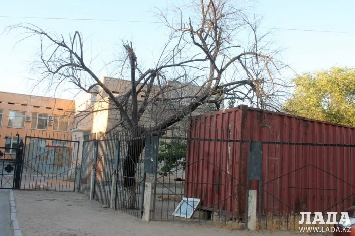 Полив по факту: Исполнение графика в Актау 19 июня
