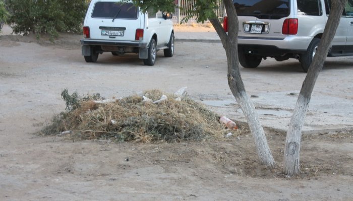 Полив по факту: Исполнение графика в Актау 19 июня