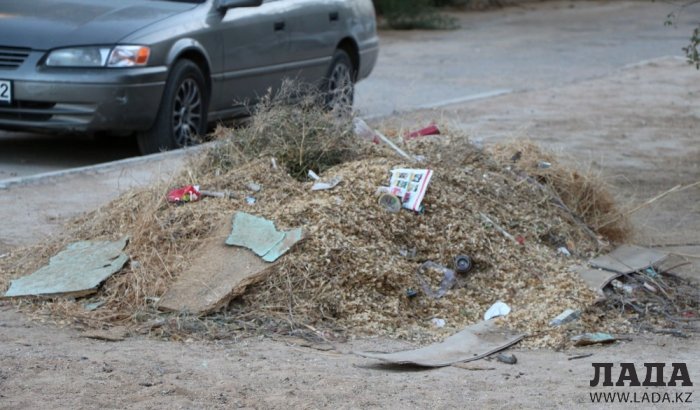 Полив по факту: Исполнение графика в Актау 19 июня