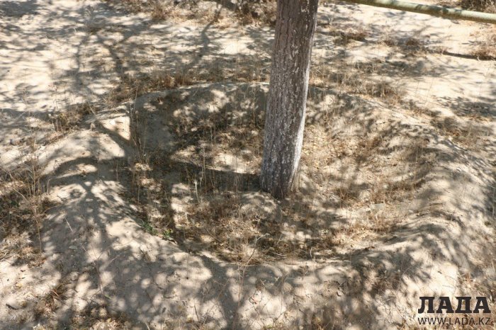 Фоторепортаж: Состояние зеленых насаждений у мечети в Актау