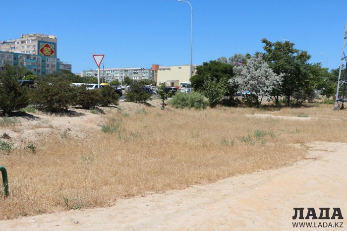 Фоторепортаж: Состояние зеленых насаждений у мечети в Актау