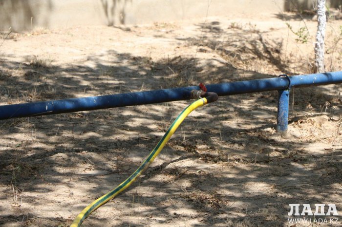 Фоторепортаж: Состояние зеленых насаждений у мечети в Актау