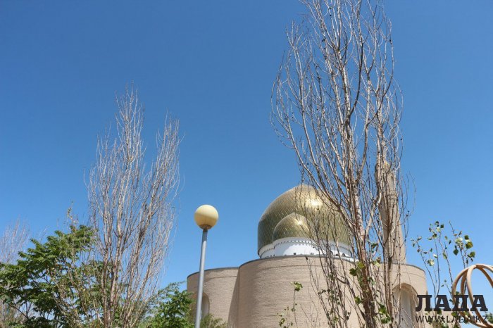 Фоторепортаж: Состояние зеленых насаждений у мечети в Актау