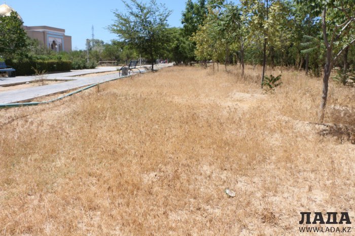 Фоторепортаж: Состояние зеленых насаждений у мечети в Актау